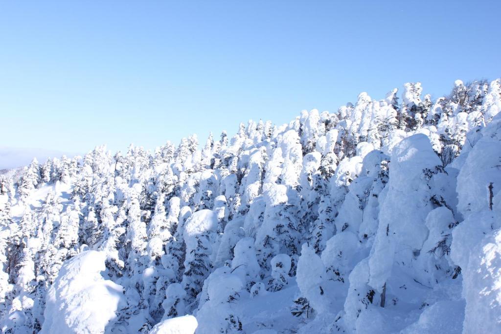 Hotel Aspen Shiga Jamanouči Exteriér fotografie