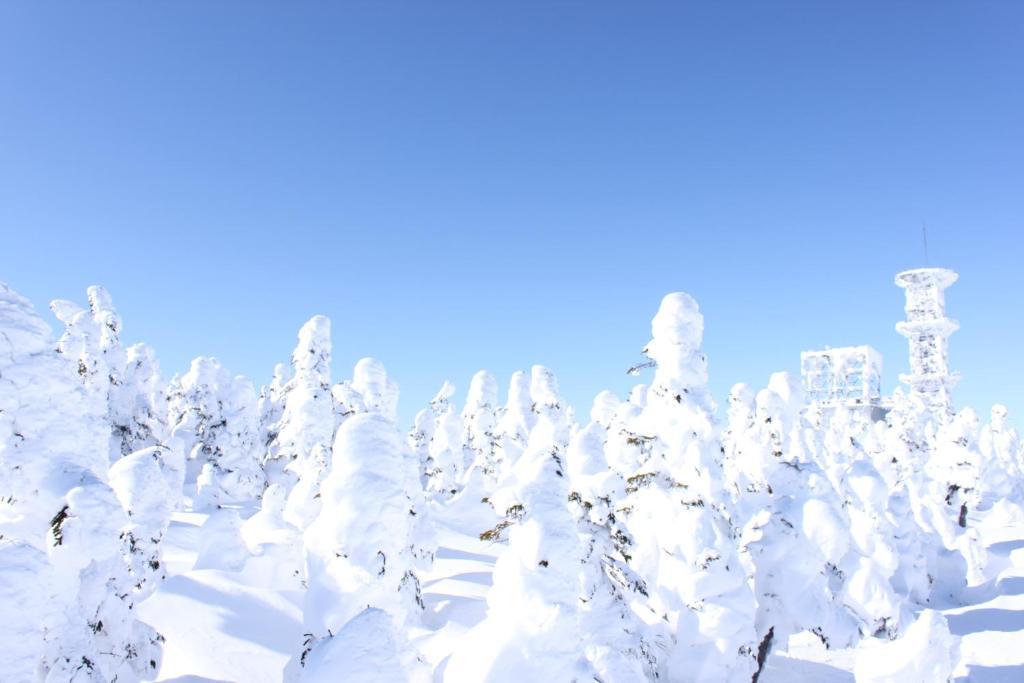 Hotel Aspen Shiga Jamanouči Exteriér fotografie