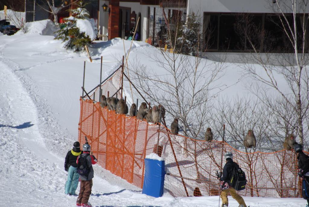 Hotel Aspen Shiga Jamanouči Exteriér fotografie